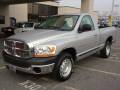 2006 Dodge Ram 1500 Reg Cab ST B